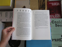 Load image into Gallery viewer, Curating &amp; Repair