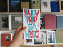 Load image into Gallery viewer, Dirk Vis – Study Trip: Psychedelics for Research and Art