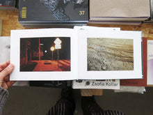 Load image into Gallery viewer, Wang Zhong – Until We Meet Again