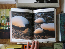 Load image into Gallery viewer, Seeds: Reclaiming Roots, Sowing Futures