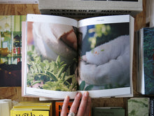 Load image into Gallery viewer, Seeds: Reclaiming Roots, Sowing Futures