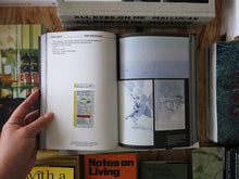 Load image into Gallery viewer, Cruising Pavilion