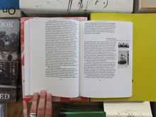 Load image into Gallery viewer, Trauma and Affect: (Mis)Understanding Pain in Art and Culture
