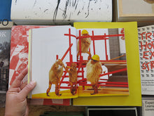 Load image into Gallery viewer, Simon Wald-Lasowski – The Art of the Hairy Monkey