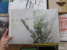 Load image into Gallery viewer, Ben Thorp Brown – Cura’s Garden