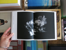 Load image into Gallery viewer, Makoto Takahashi (ed.) – Picturing the Invisible