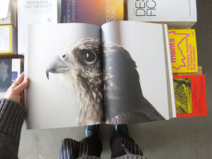 Elisa Caldana: The Falcon of Karachi