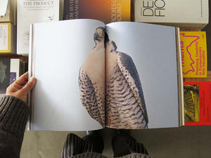 Elisa Caldana: The Falcon of Karachi