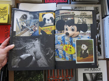 Load image into Gallery viewer, Ruben Lundgren – Flowers in the Mirror: A Reader