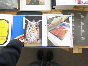 The Lure of the Image