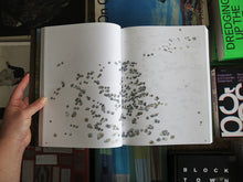 Load image into Gallery viewer, Irene Kopelman – Field to Form