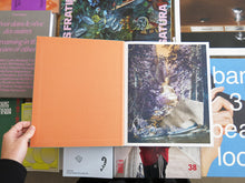 Load image into Gallery viewer, Aaron Rothman – The Sierra