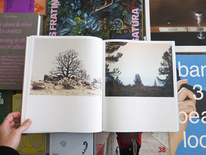 Aaron Rothman – The Sierra