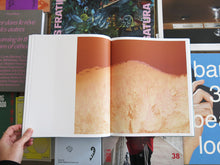 Load image into Gallery viewer, Aaron Rothman – The Sierra