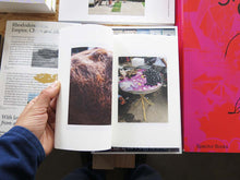 Load image into Gallery viewer, Nick Sethi – Sunbeam