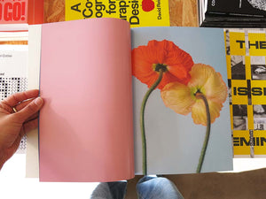 Paula Codoner – The Chromatics of Flowers
