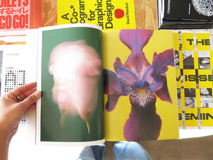 Paula Codoner – The Chromatics of Flowers
