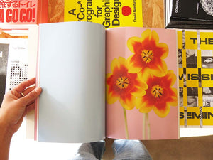 Paula Codoner – The Chromatics of Flowers