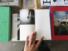 Load image into Gallery viewer, Franco Dupuy –  Cruising Diaries