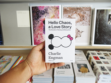 Load image into Gallery viewer, Charlie Engman – Hello Chaos, a Love Story: The Disorder of Seeing and Being Seen