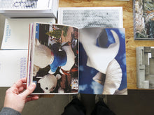 Load image into Gallery viewer, Jeff Mermelstein – What if Jeff were a Butterfly?