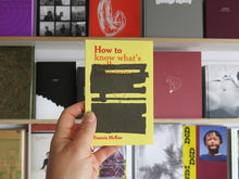 Load image into Gallery viewer, Francis McKee – How to Know What's Really Happening