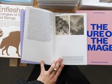 Load image into Gallery viewer, Yutong Lin – Zomia Garden