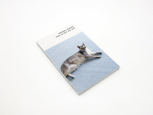 Takashi Homma – This Is Not My Cat