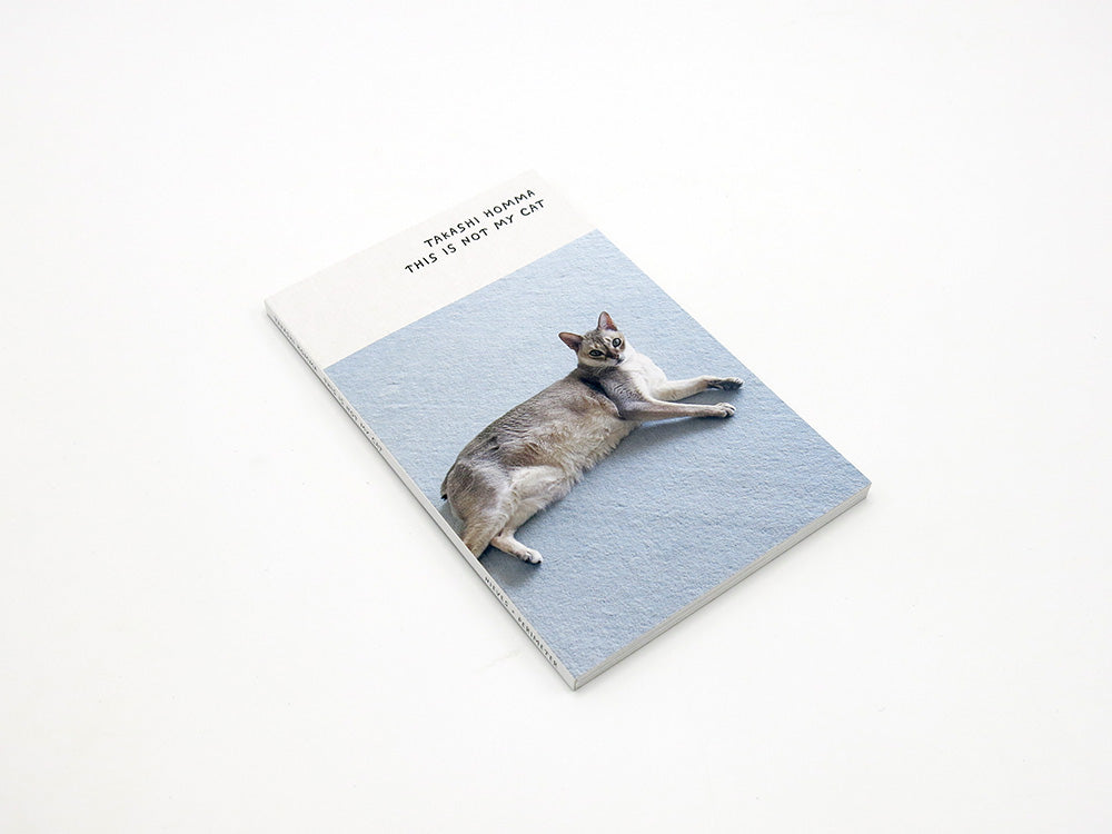 Takashi Homma – This Is Not My Cat