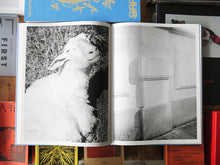 Load image into Gallery viewer, Boris Snauwaert – Sliver