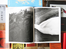 Load image into Gallery viewer, Boris Snauwaert – Sliver