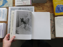 Load image into Gallery viewer, Joselito Verschaeve – As Long as the Sun Lasts