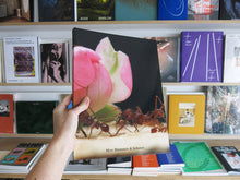 Load image into Gallery viewer, Blommers &amp; Schumm – More