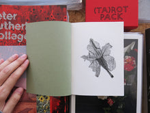 Load image into Gallery viewer, Jamie Yeo – Plant Scans