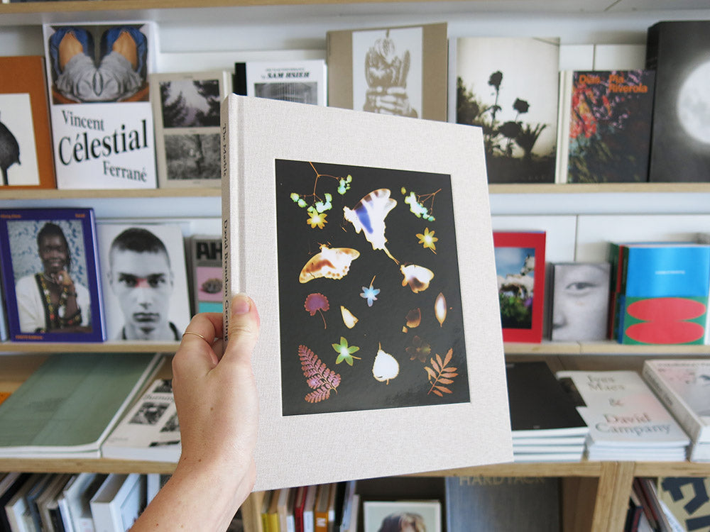 David Brandon Geeting – The Marble – Perimeter Books