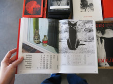 Load image into Gallery viewer, Alberto Vieceli – More Than Cat Food