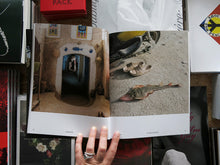 Load image into Gallery viewer, Aperture No. 262: The End of Nature?