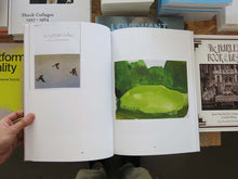 Load image into Gallery viewer, Sereina Steinemann: Works