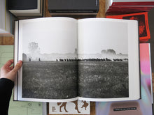 Load image into Gallery viewer, Manuel Naranjo Martell – SACA 1504