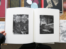 Load image into Gallery viewer, Tee A. Corinne: A forest fire between us