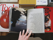 Load image into Gallery viewer, Enredos II: Nuno da Luz