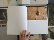 Load image into Gallery viewer, Anna Tsitsishvili – Tbilisi Interiors