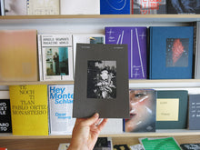 Load image into Gallery viewer, Sly Morikawa – City of Roses