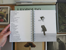 Load image into Gallery viewer, Augustin Lignier – Turning Point