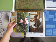 Load image into Gallery viewer, Peter Sutherland – Button Smasher
