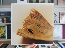 Load image into Gallery viewer, Colin Dodgson – Earthquake Weather