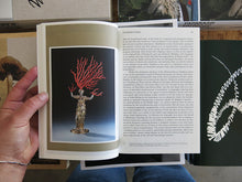 Load image into Gallery viewer, Mihnea Mircan &amp; Helen Hughes – A Biography of Daphne