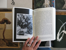 Load image into Gallery viewer, Mihnea Mircan &amp; Helen Hughes – A Biography of Daphne