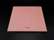 Load image into Gallery viewer, Guy Tillim – Museum of the Revolution (Rare)