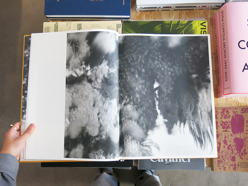 Matthew Genitempo – Dogbreath – Perimeter Books Matthew Genitempo – Dogbreath – Perimeter Books